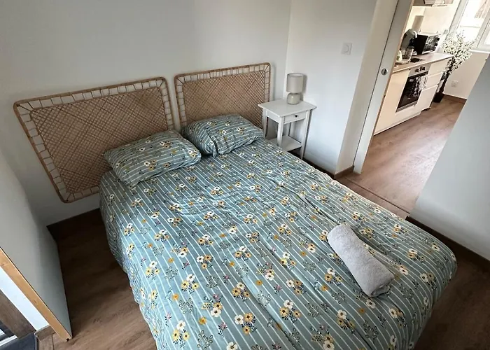 Appartement Laundry Loft- Studio1-proche Gare Centre Ville- Cnpe